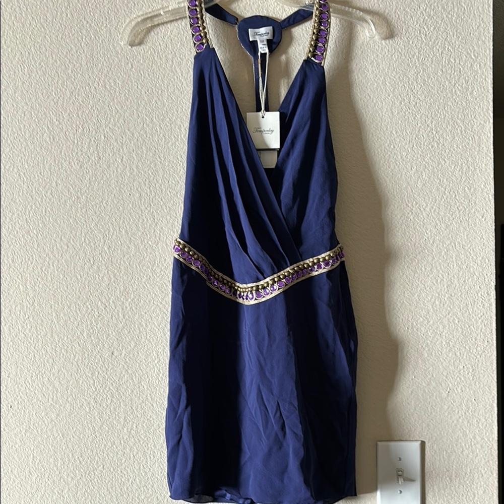Temperley London Elegant Blue mini Dress with Embellished Details